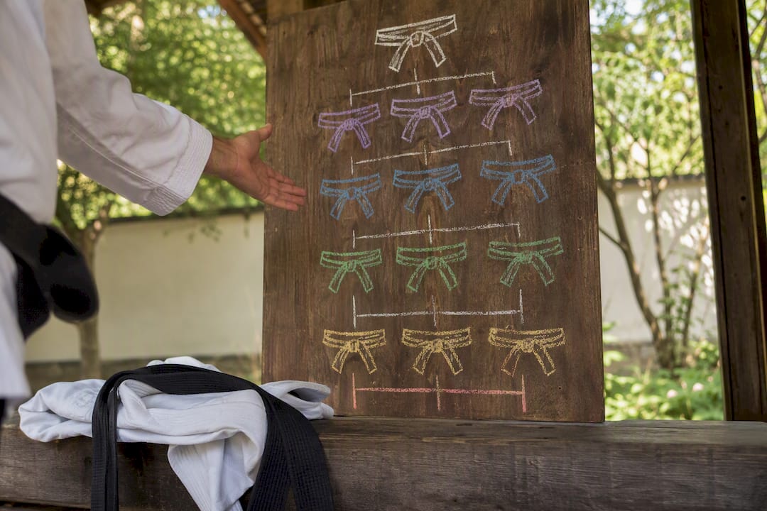 Dojo rank hierarchy chalkboard and instructor hand